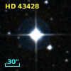 HD  43428