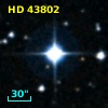 HD  43802