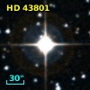 HD  43801
