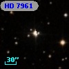 HD   7961