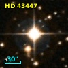 HD  43447