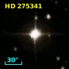 HD 275341
