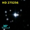 HD 275256