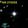 HD 275255