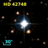 HD  42748