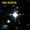 HD  42916