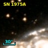SN 1975A