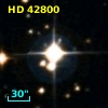 HD  42800