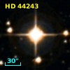 HD  44243