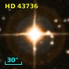 HD  43736