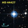 HD  44427