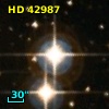 HD  42987