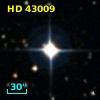 HD  43009