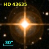 HD  43635