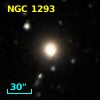 NGC  1293