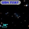 LEDA   75567