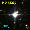 HD  43237
