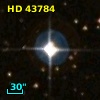 HD  43784