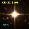 CD-31  3198