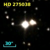 HD 275038