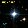 HD  42852