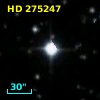 HD 275247