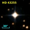 HD  43255