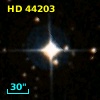 HD  44203