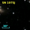 SN 1975J