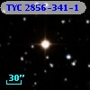 TYC 2856-341-1