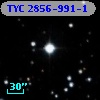 TYC 2856-991-1