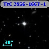 TYC 2856-1667-1