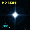 HD  43256