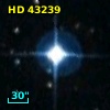 HD  43239
