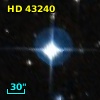 HD  43240