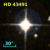 HD  43491