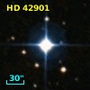 HD  42901