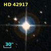 HD  42917