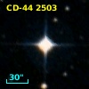 CD-44  2503