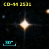 CD-44  2531