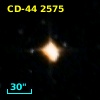 CD-44  2575