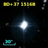 BD+37  1516B