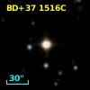 BD+37  1516C