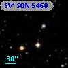 SV* SON  5460
