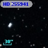 HD 255941