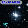BD+36  1436B