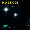 HD 257705