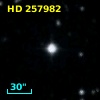 HD 257982