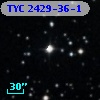 TYC 2429-36-1