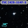 TYC 2429-1147-1